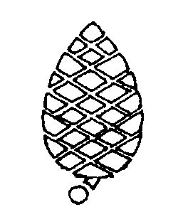 Pine cone logo